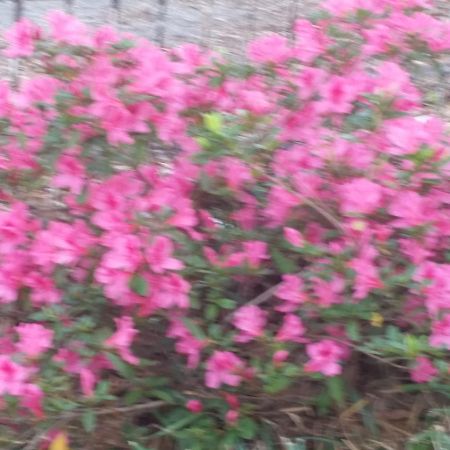 Spahn House Bed And Breakfast Senatobia ภายนอก รูปภาพ