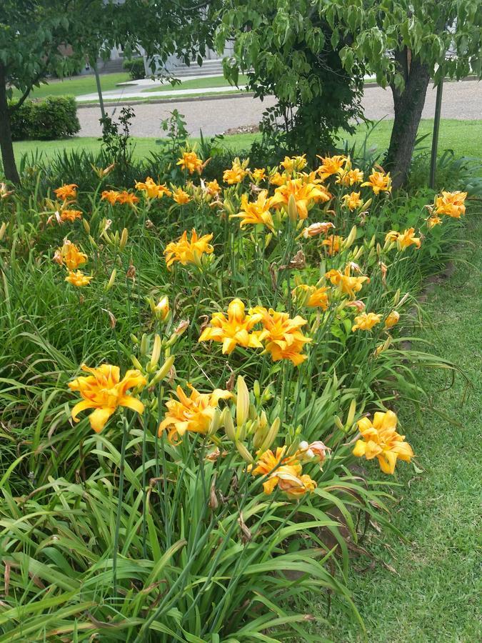 Spahn House Bed And Breakfast Senatobia ภายนอก รูปภาพ
